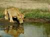 Ultimate Grand African Voyage