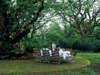 Cybele Forest Lodge - Dining