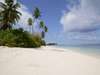 Stunning Seychelles Island Escape