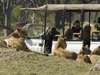 Best of Botswana Fly-in Safari