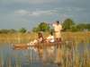 Okavango, Moremi and Savute Safari
