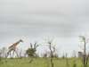 Exclusive Cape Town & Kruger Romance