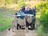 Affordable Garden Route & Safari Family Holiday