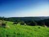 Affordable Luxury South African Holiday