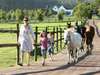 Best Family South African Coastal Adventure