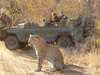Cape Town, Winelands & Kruger Safari Journey