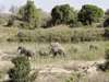 Kruger & Panorama Route Supreme Self-Drive