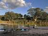 Luxury Cape Town & Lion Sands Safari