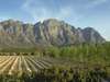 Romantic Cape Town & Winelands Explorer