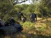 Scenic Cape Town, Winelands & Kruger Adventure