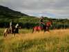 Scenic Drakensberg & Battlefields Experience