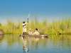 Footsteps Across the Delta Family Safari