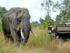 South African Countryside & Safari Self Drive