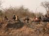 Ultimate Kruger Park Family Safari