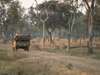 East African Adventure