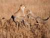 East African Adventure