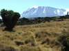 Memorable Kilimanjaro Marangu Climb