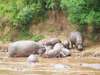 Explore Kenya Camping Adventure