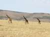 Explore Kenya Camping Adventure
