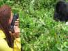 Amazing Apes Safari
