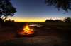 Affordable Safari in the Delta