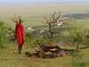 Sensational Kenya Simba Safari