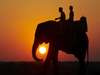 Luxury Spa & Safari Honeymoon