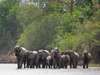 Southern Tanzania Safari Adventure