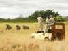 Remote Wilderness & Beach Retreat