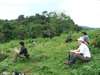 Fly-In Gorilla Safari