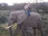 Anza Snyman - riding an elephant - bareback!