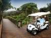 White Pearl Resorts- Transport 
