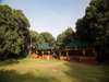 Elephant Pepper Camp- Camp 