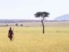 Elephant Pepper Camp- walking Safari 