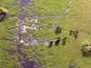 Marvel at the spectacular scenery while flying over the Okavango Delta in a small plane.