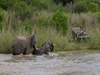 The Sabi Sands adjacent to the Kruger Park offers superb Big 5 gameviewing.