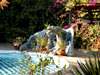 Macushla House - Pool 
