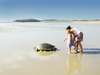 kenya kiwayu turtle on beach2273