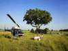 Eagle Island Camp - fly in safari