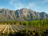 Franschoek Villas1 - 361