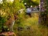 Luxury Safaris gallery7