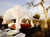 Luxury Safaris gallery8