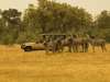 55 Botswana Gallery 6