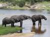 55 Botswana Gallery 12