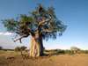 55 Botswana Gallery 15