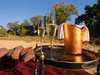 Kruger Honeymoon 4