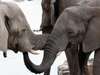 Best of Namibia Adventure