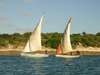 Discover Mozambique