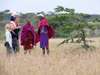 Kenya Gallery1