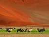 Namibia Gallery2